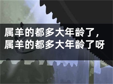 属羊的都多大年龄了，属羊的都多大年龄了呀