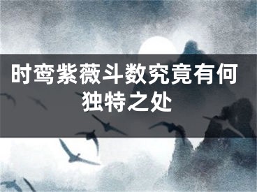 时鸾紫薇斗数究竟有何独特之处