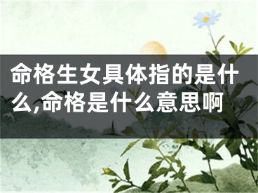命格生女具体指的是什么,命格是什么意思啊