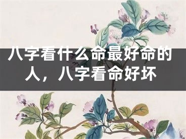 八字看什么命最好命的人，八字看命好坏