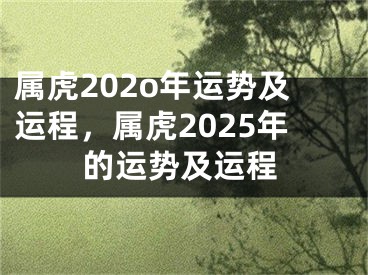 属虎202o年运势及运程，属虎2025年的运势及运程