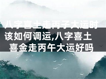 八字喜土走丙子大运时该如何调运,八字喜土喜金走丙午大运好吗