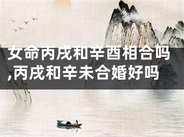 女命丙戌和辛酉相合吗,丙戌和辛未合婚好吗