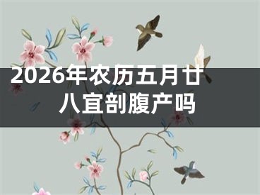 2026年农历五月廿八宜剖腹产吗