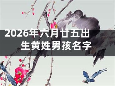 2026年六月廿五出生黄姓男孩名字