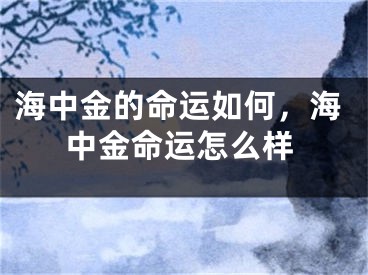 海中金的命运如何，海中金命运怎么样