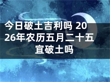 今日破土吉利吗 2026年农历五月二十五宜破土吗