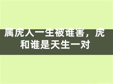 属虎人一生被谁害，虎和谁是天生一对