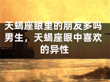 天蝎座眼里的朋友多吗男生，天蝎座眼中喜欢的异性