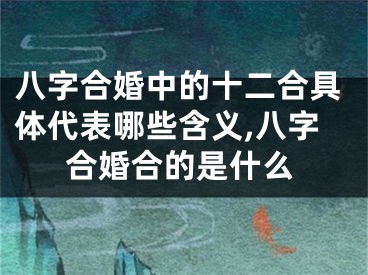 八字合婚中的十二合具体代表哪些含义,八字合婚合的是什么