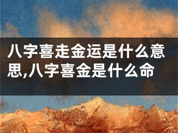 八字喜走金运是什么意思,八字喜金是什么命