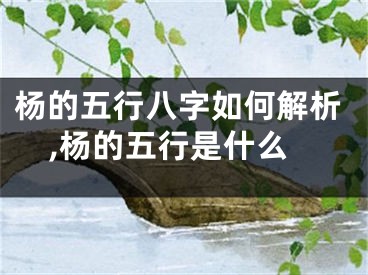杨的五行八字如何解析,杨的五行是什么