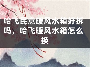 哈飞民意暖风水箱好拆吗，哈飞暖风水箱怎么换