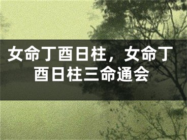 女命丁酉日柱，女命丁酉日柱三命通会