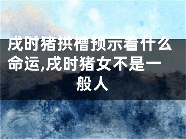 戌时猪拱槽预示着什么命运,戌时猪女不是一般人