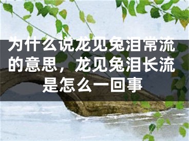 为什么说龙见兔泪常流的意思，龙见兔泪长流是怎么一回事