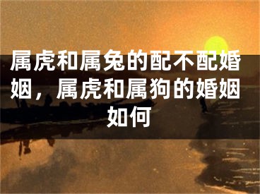 属虎和属兔的配不配婚姻，属虎和属狗的婚姻如何