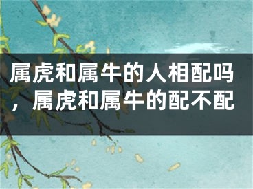 属虎和属牛的人相配吗，属虎和属牛的配不配