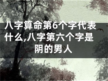 八字算命第6个字代表什么,八字第六个字是阴的男人