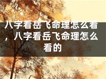 八字看岳飞命理怎么看，八字看岳飞命理怎么看的