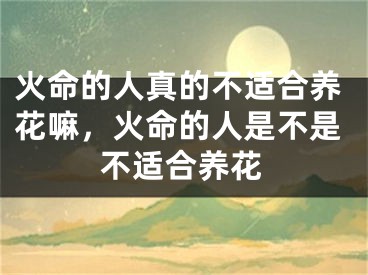 火命的人真的不适合养花嘛,火命的人是不是不适合养花