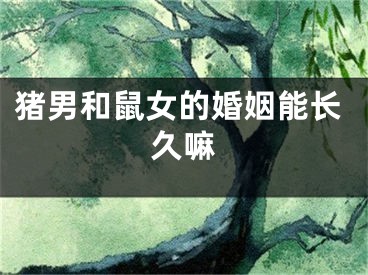 猪男和鼠女的婚姻能长久嘛