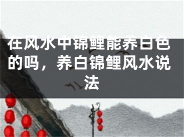 在风水中锦鲤能养白色的吗，养白锦鲤风水说法