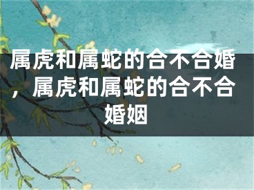 属虎和属蛇的合不合婚，属虎和属蛇的合不合婚姻