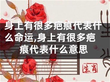 身上有很多疤痕代表什么命运,身上有很多疤痕代表什么意思