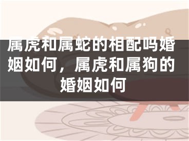 属虎和属蛇的相配吗婚姻如何，属虎和属狗的婚姻如何