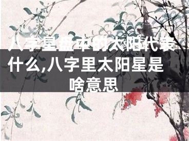 八字星盘中的太阳代表什么,八字里太阳星是啥意思