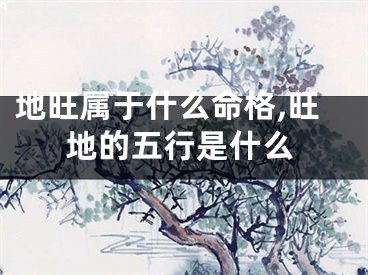 地旺属于什么命格,旺地的五行是什么