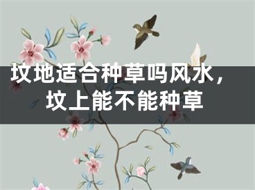 坟地适合种草吗风水,坟上能不能种草