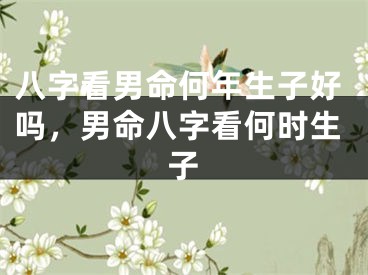 八字看男命何年生子好吗，男命八字看何时生子