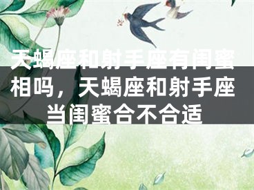 天蝎座和射手座有闺蜜相吗，天蝎座和射手座当闺蜜合不合适