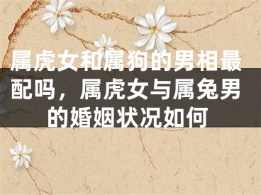 属虎女和属狗的男相最配吗，属虎女与属兔男的婚姻状况如何