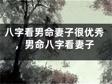 八字看男命妻子很优秀，男命八字看妻子