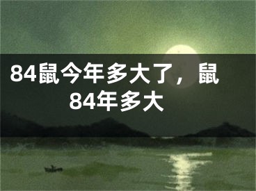 84鼠今年多大了,鼠84年多大