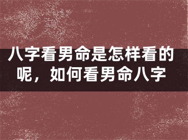 八字看男命是怎样看的呢，如何看男命八字