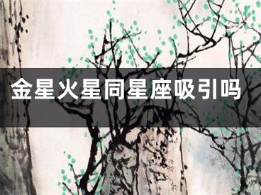 金星火星同星座吸引吗