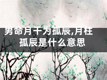 男命月干为孤辰,月柱孤辰是什么意思