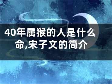 40年属猴的人是什么命,宋子文的简介