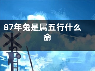 87年兔是属五行什么命