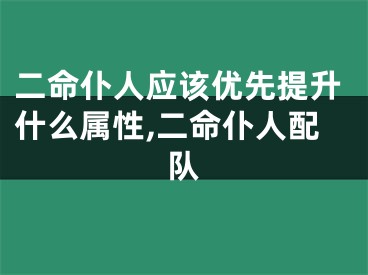 二命仆人应该优先提升什么属性,二命仆人配队