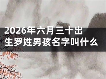 2026年六月三十出生罗姓男孩名字叫什么