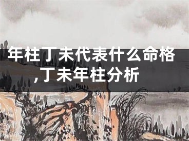 年柱丁未代表什么命格,丁未年柱分析