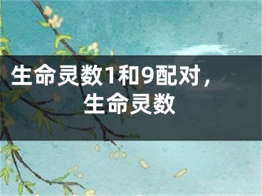 生命灵数1和9配对,生命灵数