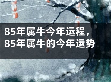 85年属牛今年运程,85年属牛的今年运势