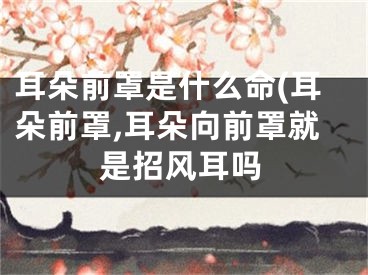 耳朵前罩是什么命(耳朵前罩,耳朵向前罩就是招风耳吗