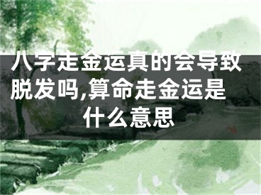 八字走金运真的会导致脱发吗,算命走金运是什么意思